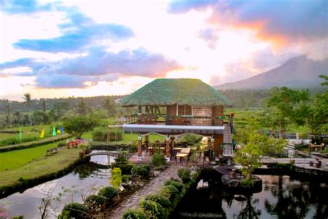 things to do in naga|Things to Do in Naga .